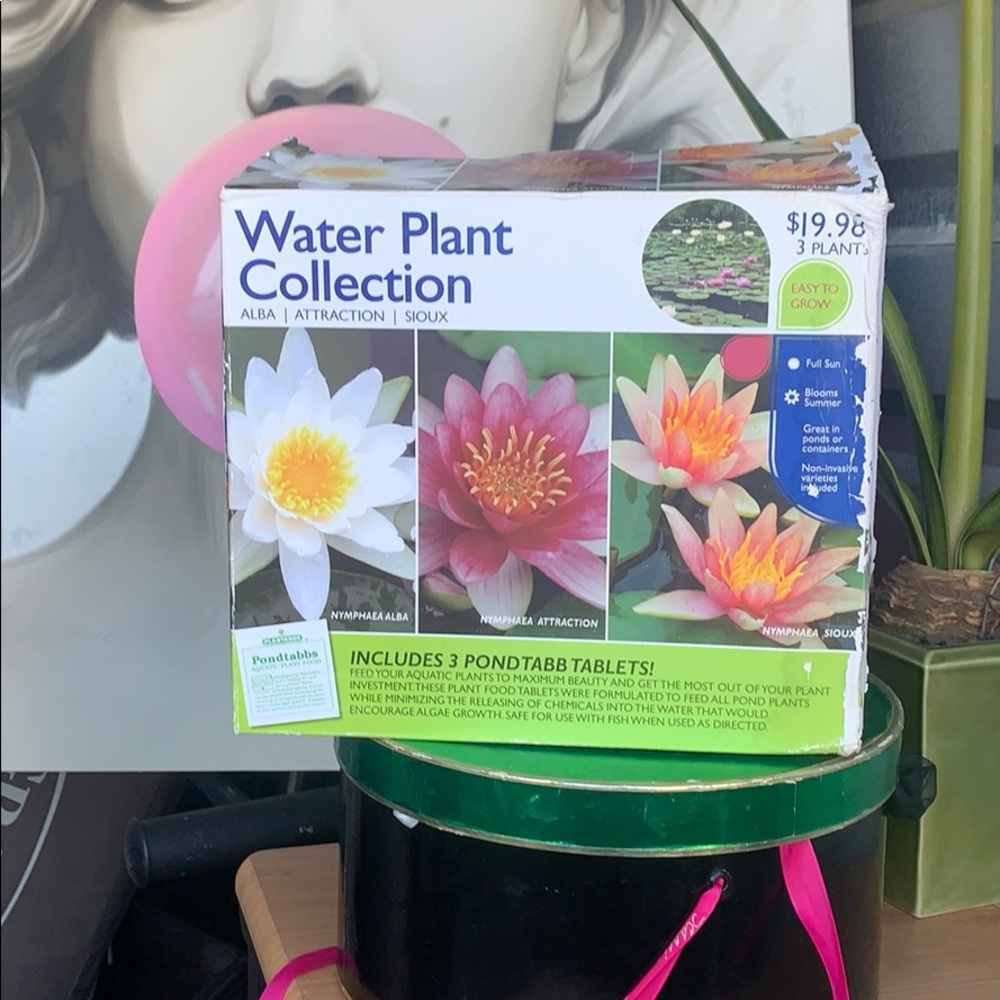 Water plant collection
